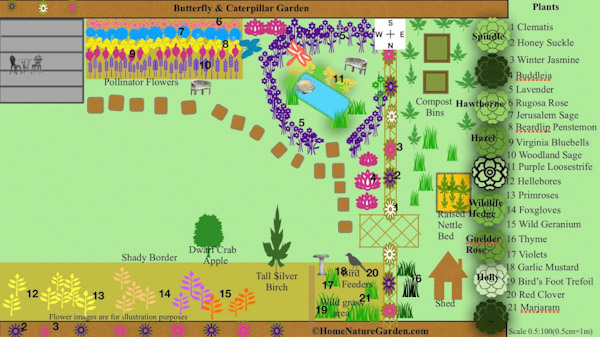 Designing a Plan for a Butterfly and Caterpillar Garden