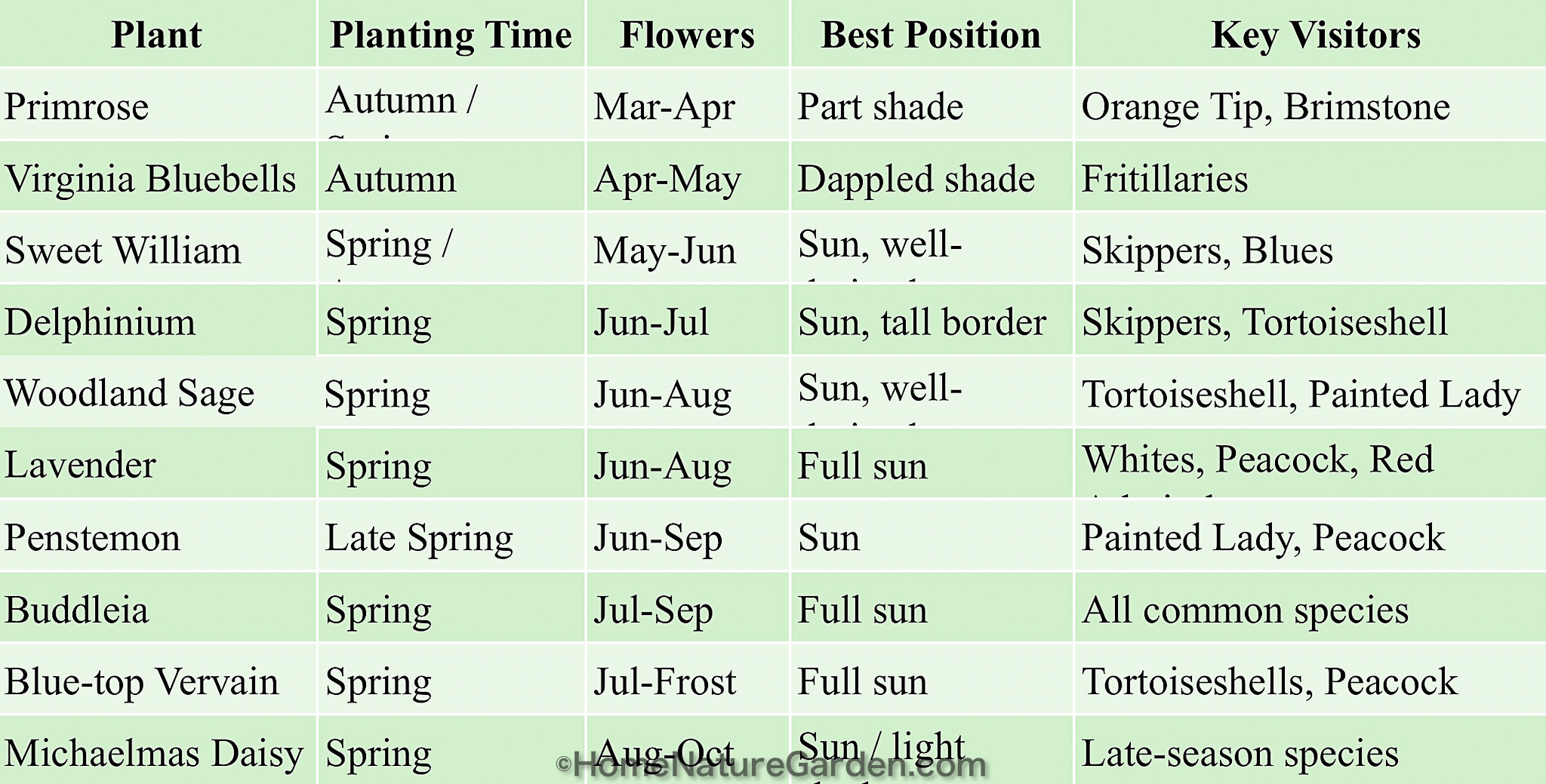 It is a table that shows when best to plant the pollinator plants, their flowering season and the key butterfly species that feed from the plant. 