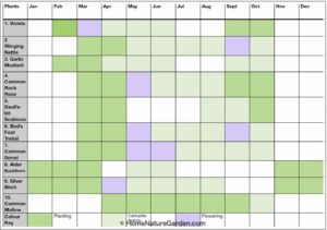 calendar-to-show-planting-times-flowering-season-and caterpillar activity