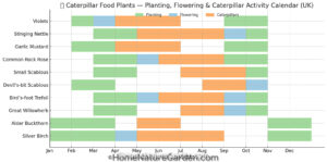 Charting showing planting, flowering and caterpillar activity from January to October