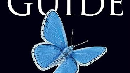 Butterfly & Caterpillar Books for Garden Reading