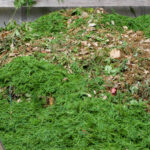 Compost heap made from garden and kitchen waste in wildlife garden