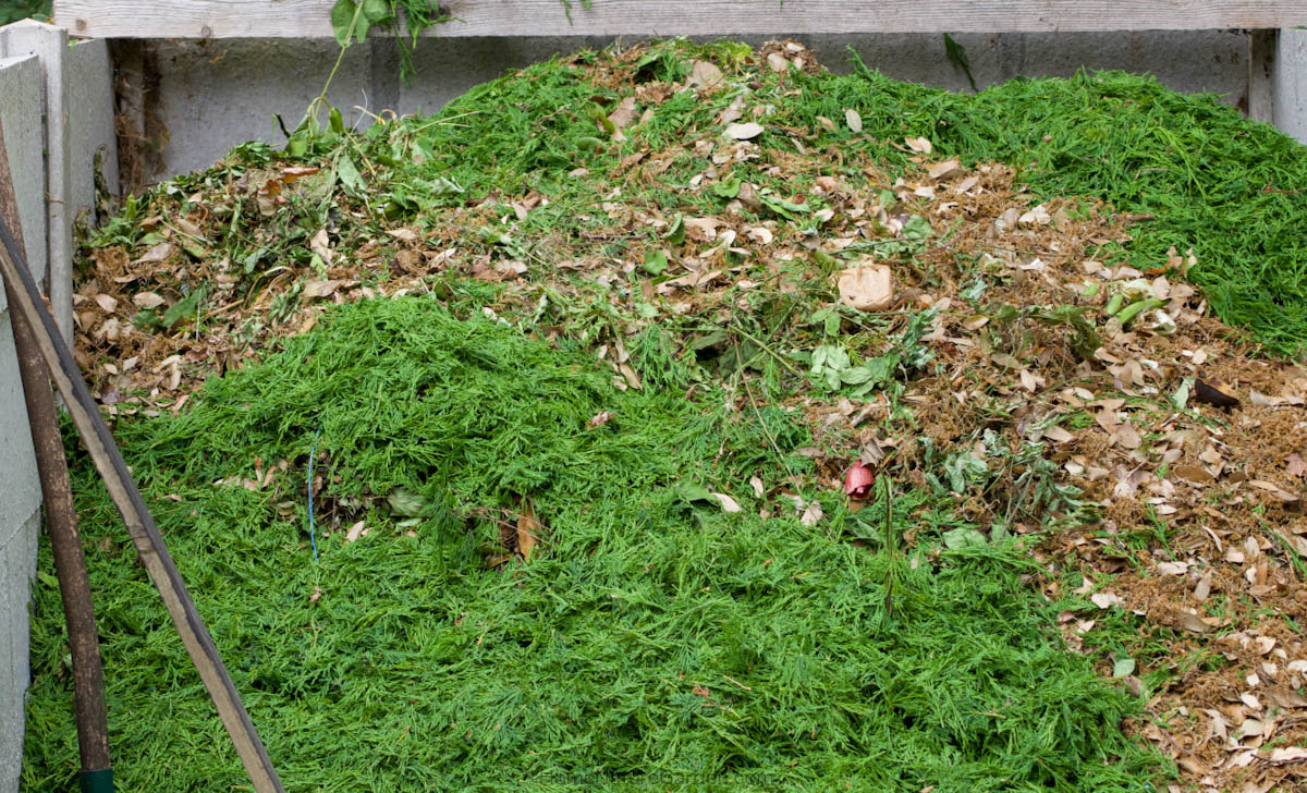 Compost heap made from garden and kitchen waste in wildlife garden